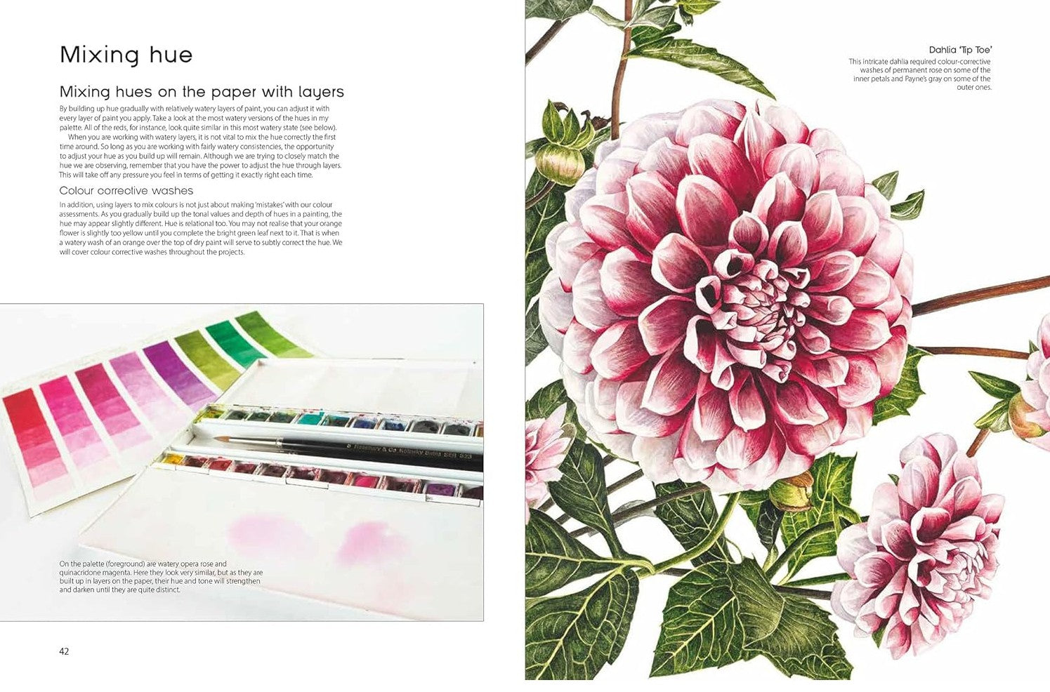 Product image for B9781800923621