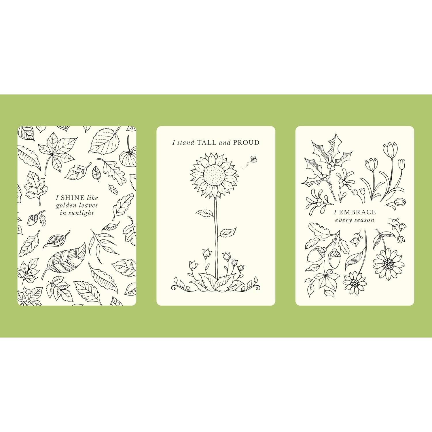 JOHANNA BATSFORD NOTES FROM NATURE 30 CARDS