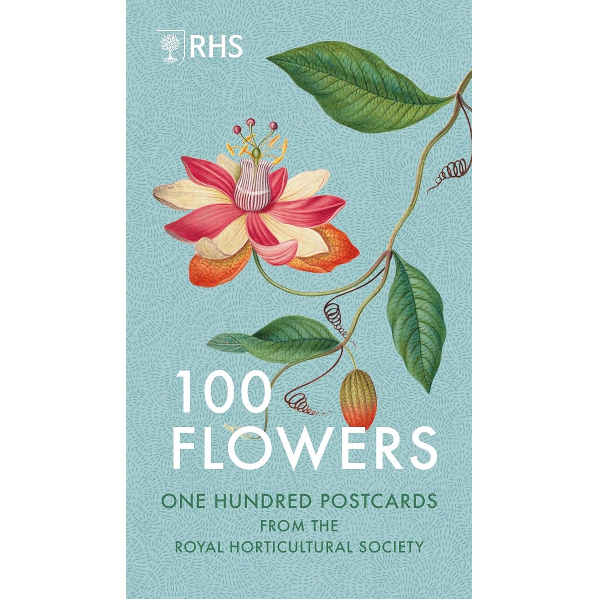 100 FLOWER POSTCARDS