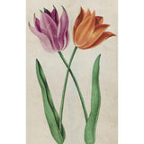 100 FLOWER POSTCARDS