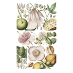 100 FLOWER POSTCARDS