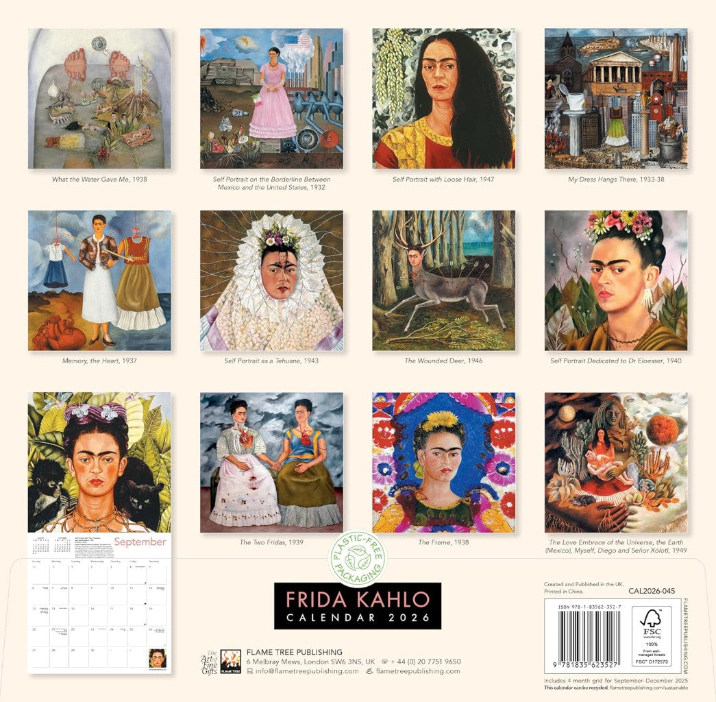 Product image for B9781835623527