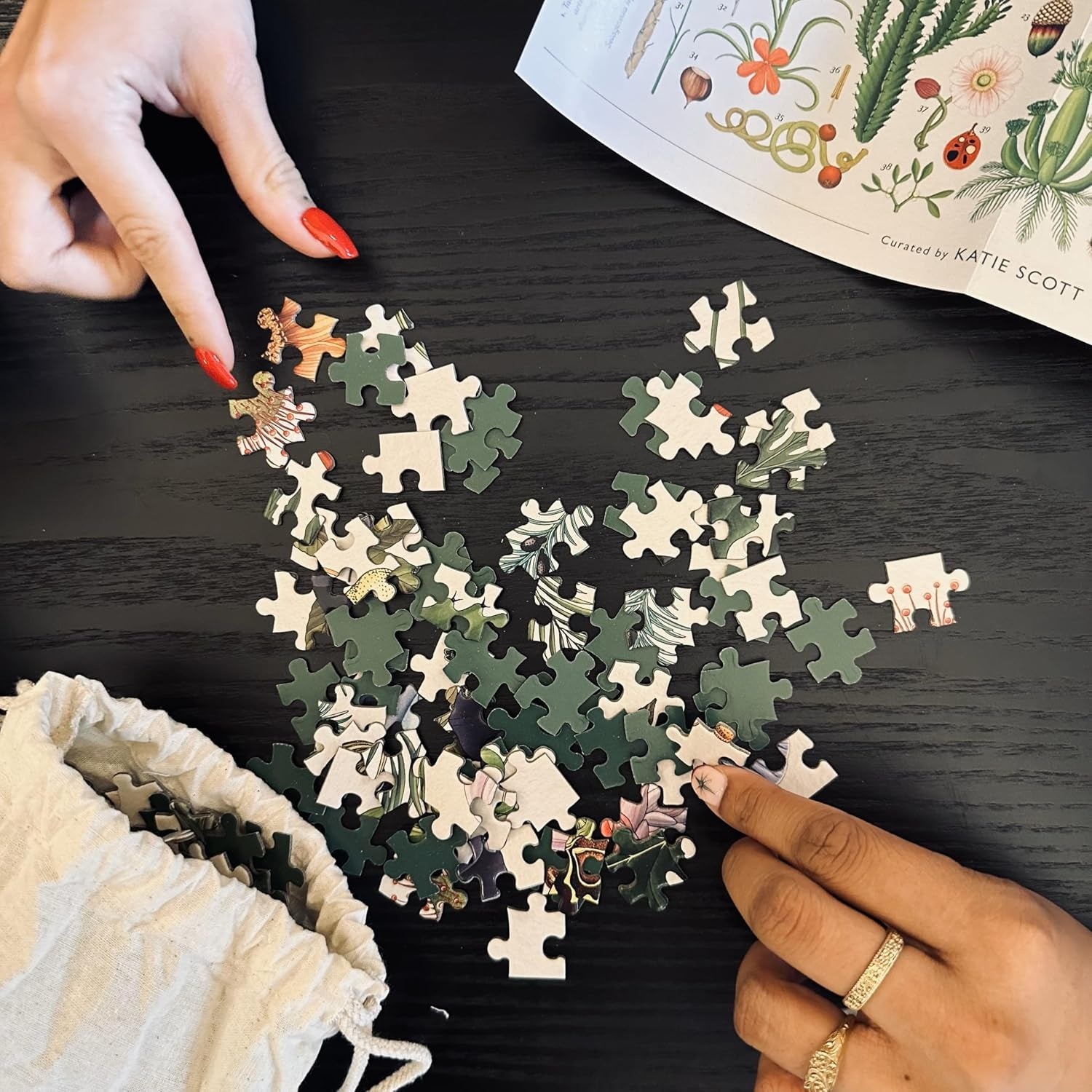 BOTANICUM 1000-PIECE JIGSAW PUZZLE: WELCOME TO THE MUSEUM
