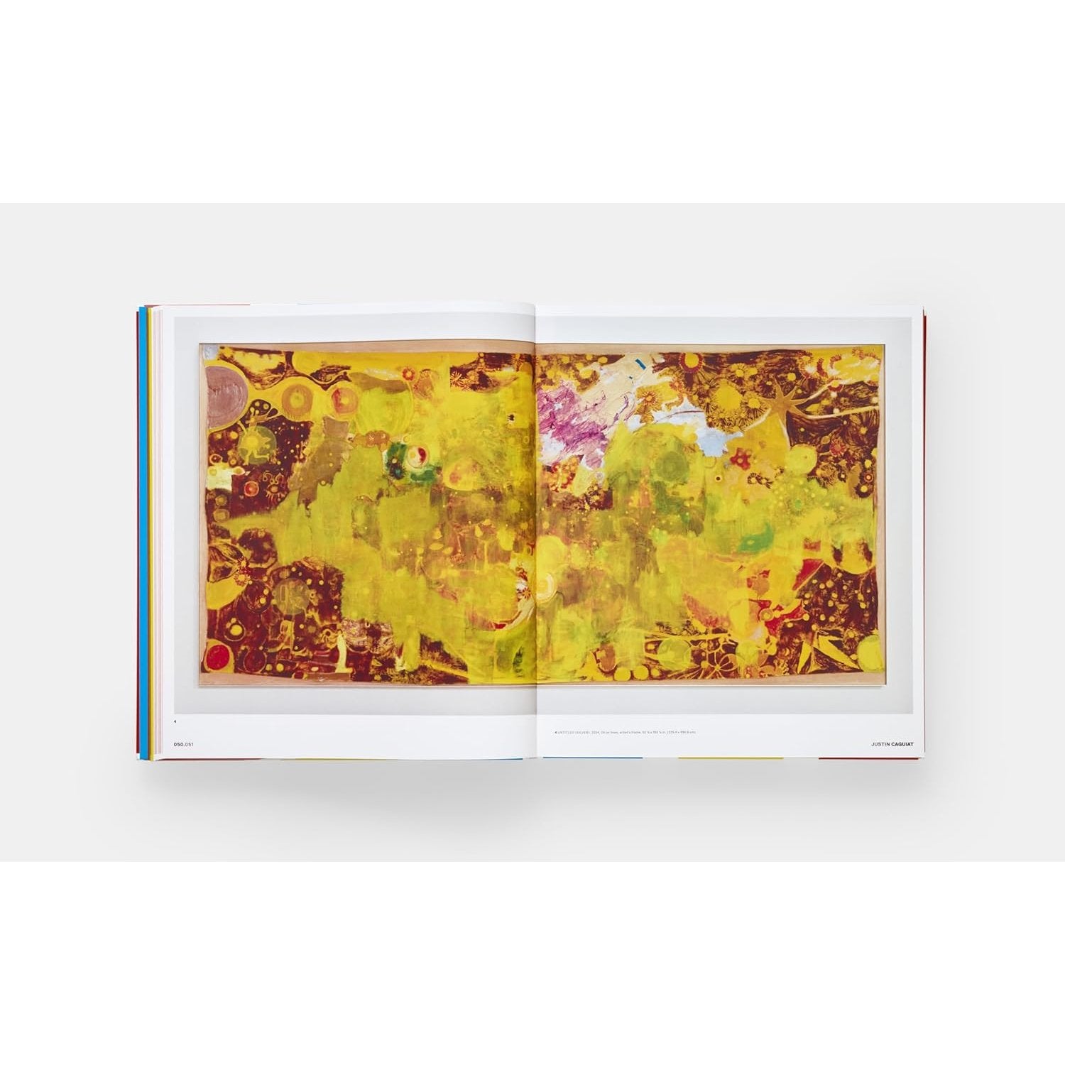 VITAMIN P4 NEW PERSPECTIVES IN CONTEMPORARY ART