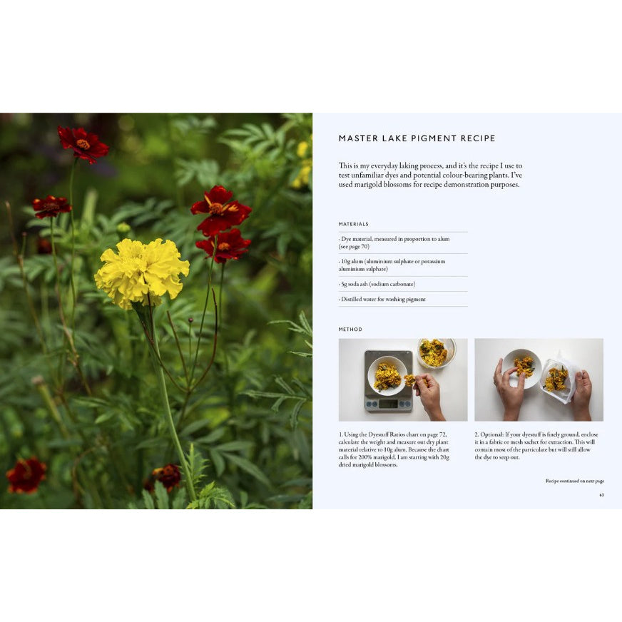 FROM PLANT TO PIGMENT