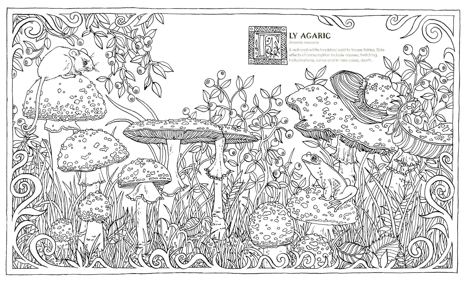 INTO THE FUNGARIUM: A SPELLBINDING COLORING BOOK OF FANTASTICAL FUNGI