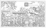 INTO THE FUNGARIUM: A SPELLBINDING COLORING BOOK OF FANTASTICAL FUNGI