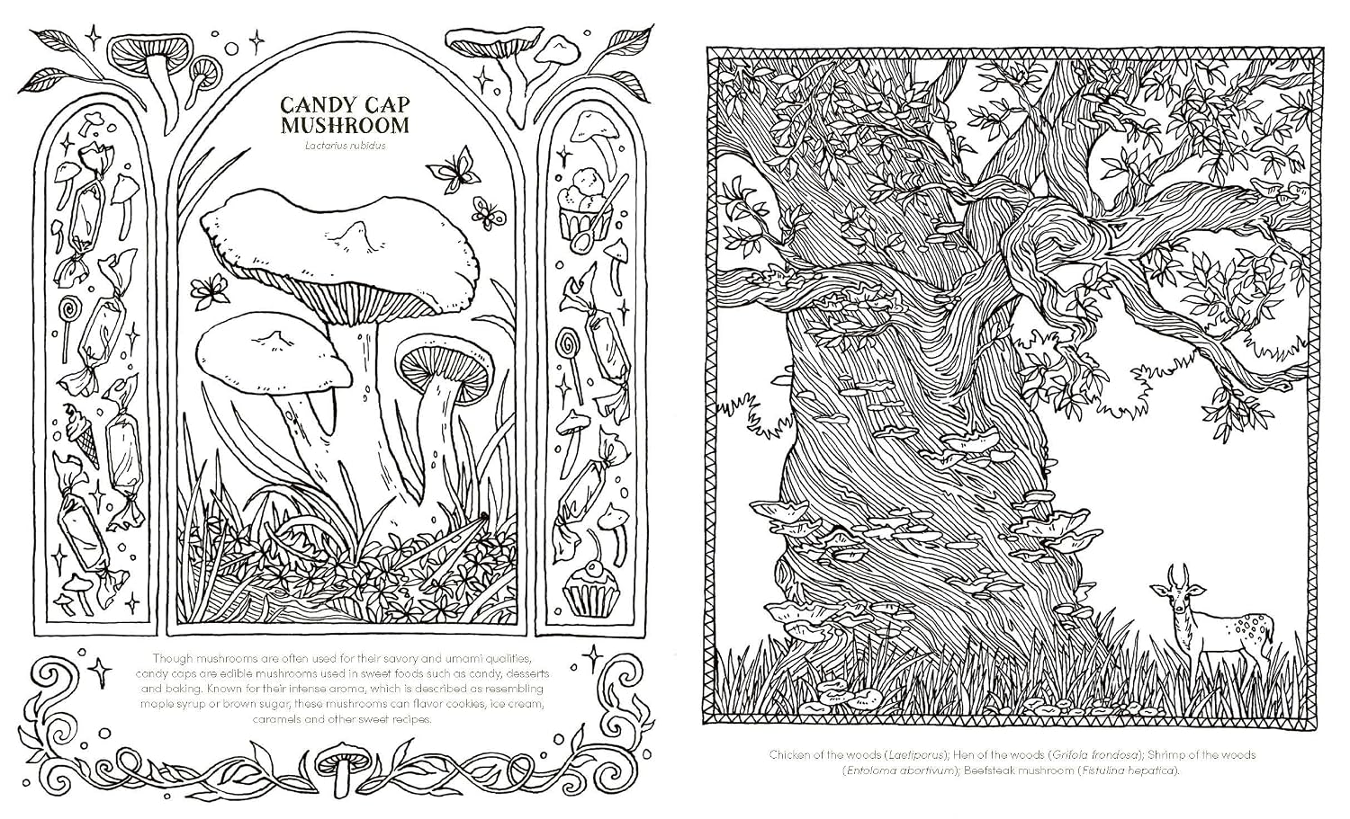 INTO THE FUNGARIUM: A SPELLBINDING COLORING BOOK OF FANTASTICAL FUNGI