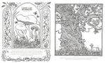 INTO THE FUNGARIUM: A SPELLBINDING COLORING BOOK OF FANTASTICAL FUNGI