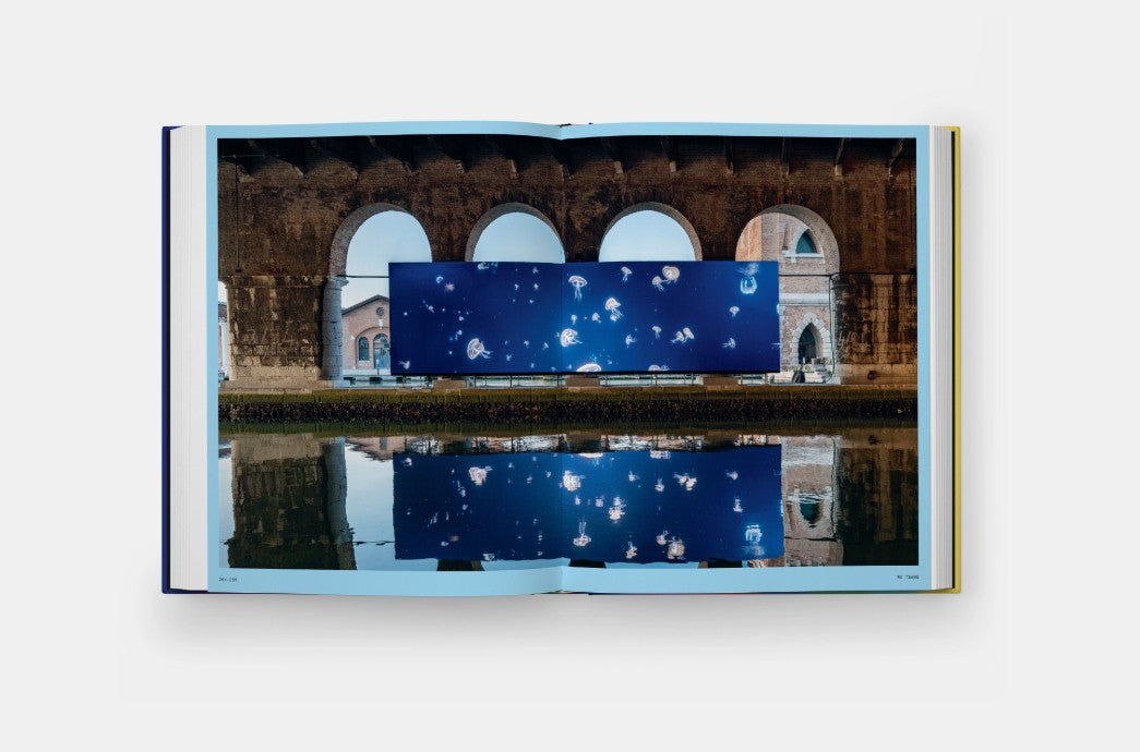 VITAMIN V VIDEO AND MOVING IMAGE