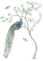 PAINT YOUR OWN BOTANICAL POSTCARDS