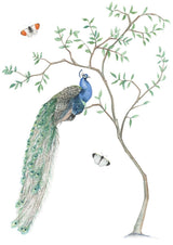 PAINT YOUR OWN BOTANICAL POSTCARDS