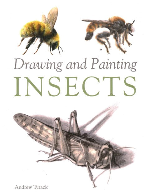 Product image for B9781847974891