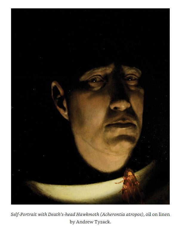 Product image for B9781847974891