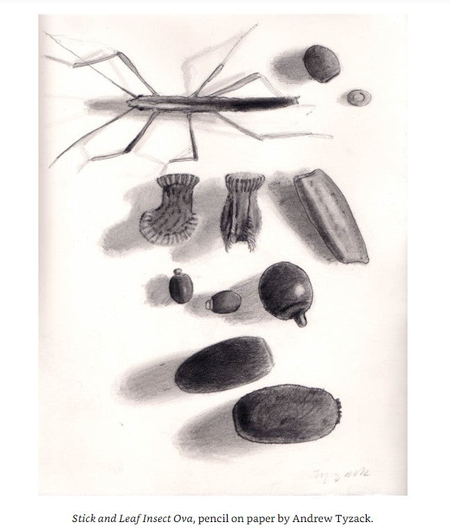 Product image for B9781847974891