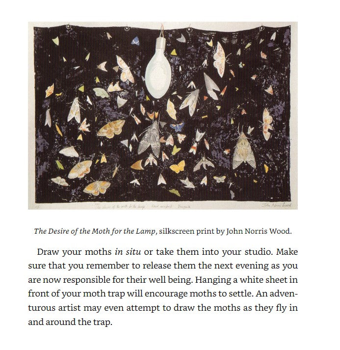 Product image for B9781847974891