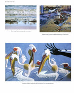 Product image for B9781847976079