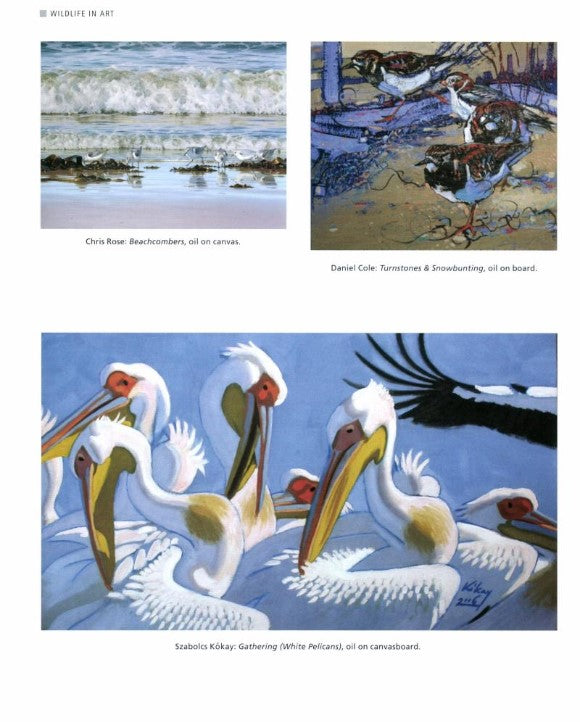 Product image for B9781847976079