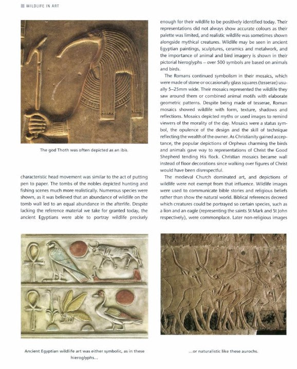 Product image for B9781847976079