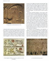 Product image for B9781847976079