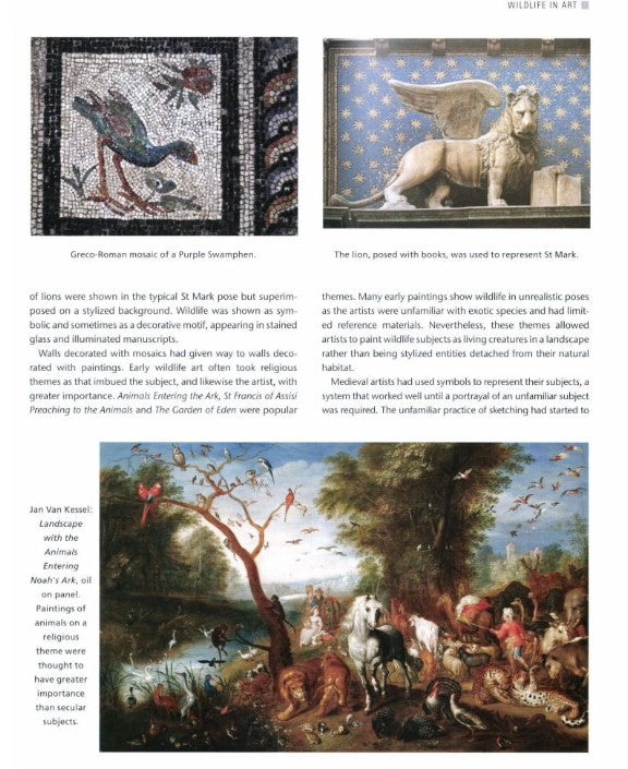 Product image for B9781847976079