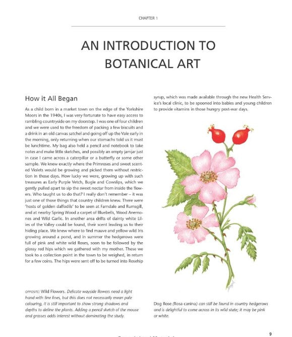 Product image for B9781847978004