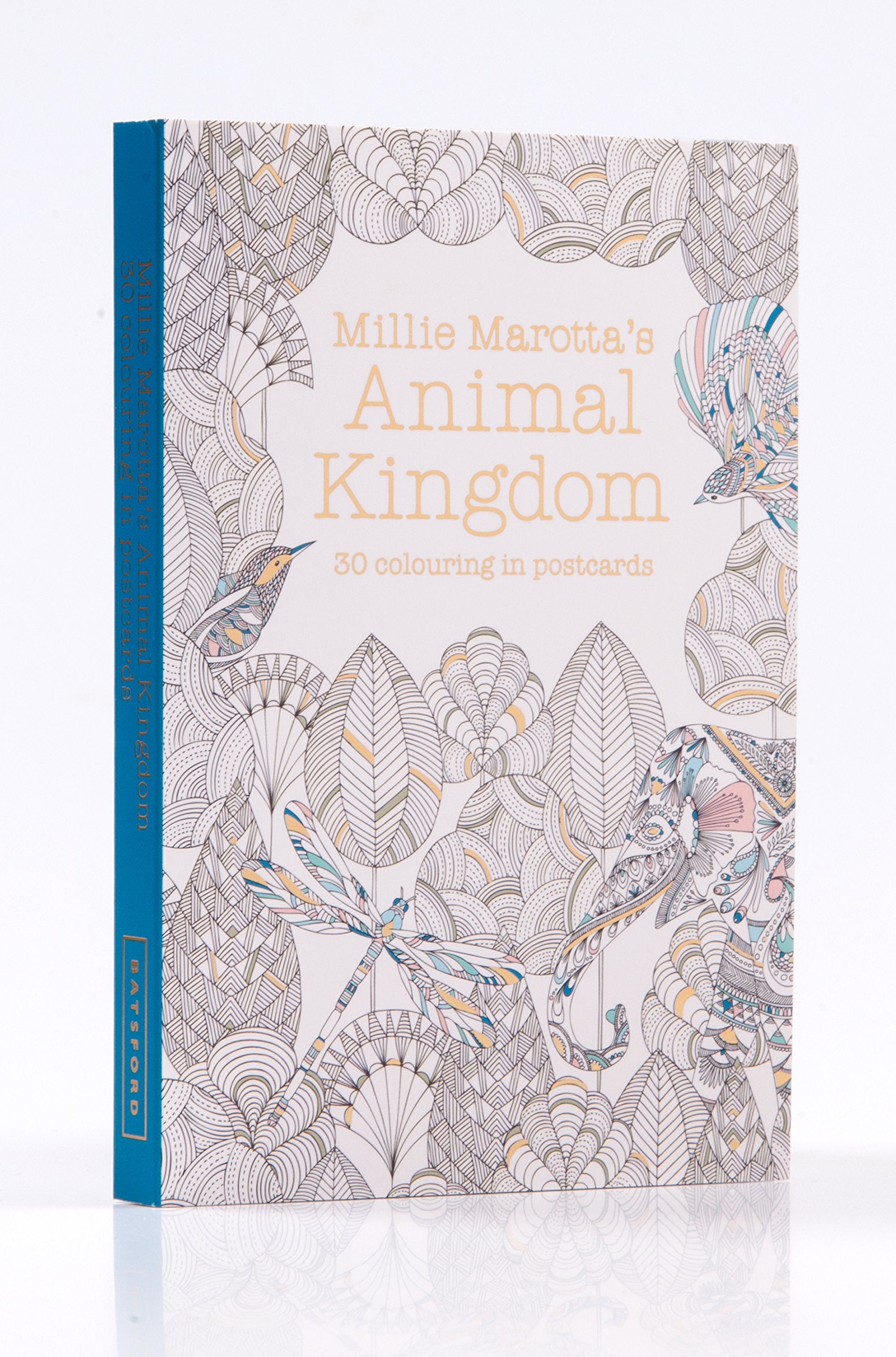 Product image for B9781849943536