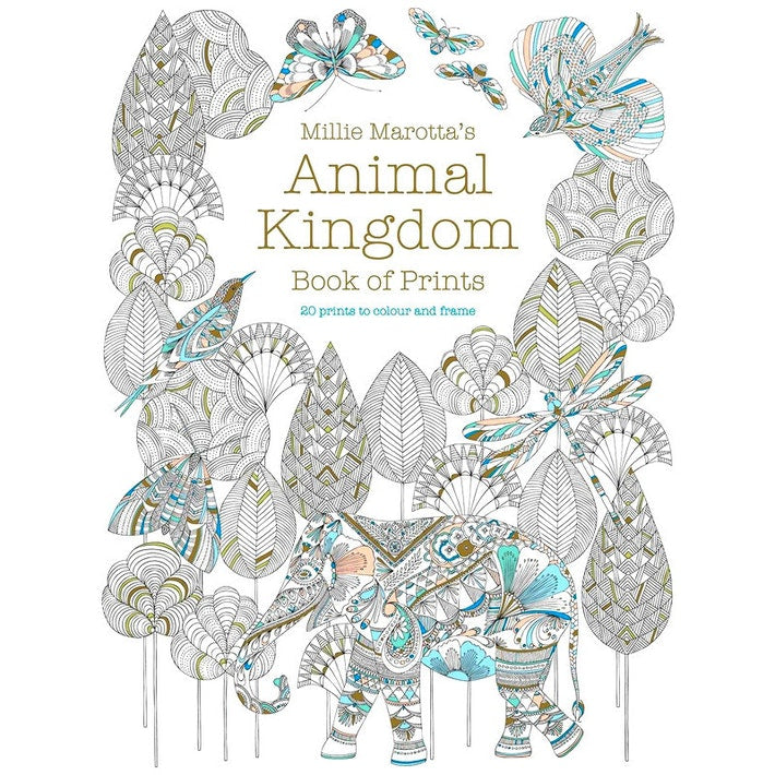 Product image for B9781849944014