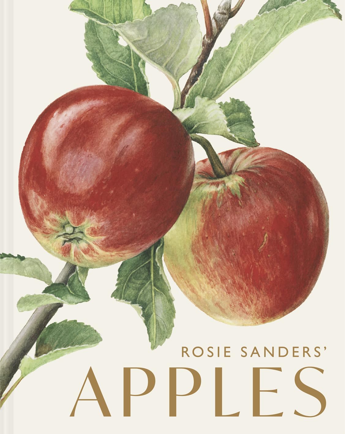 ROSIE SANDERS' APPLES