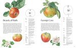 ROSIE SANDERS' APPLES