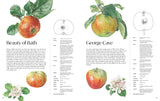 ROSIE SANDERS' APPLES