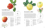 ROSIE SANDERS' APPLES