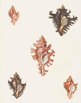 Product image for B9781851246168