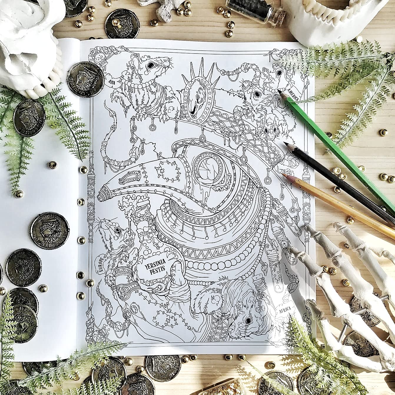 Product image for B9781912785483