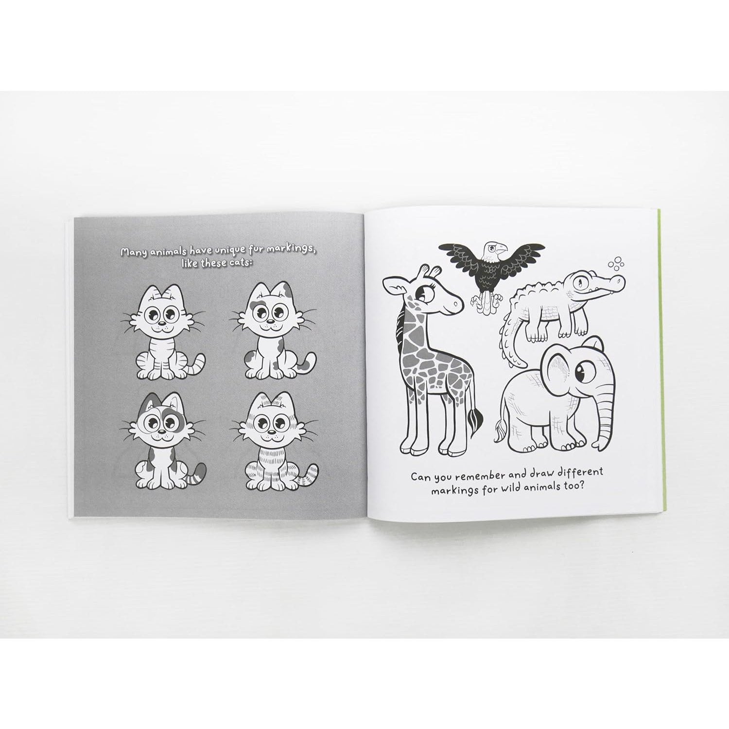 HOW TO DRAW AMAZING NATURE