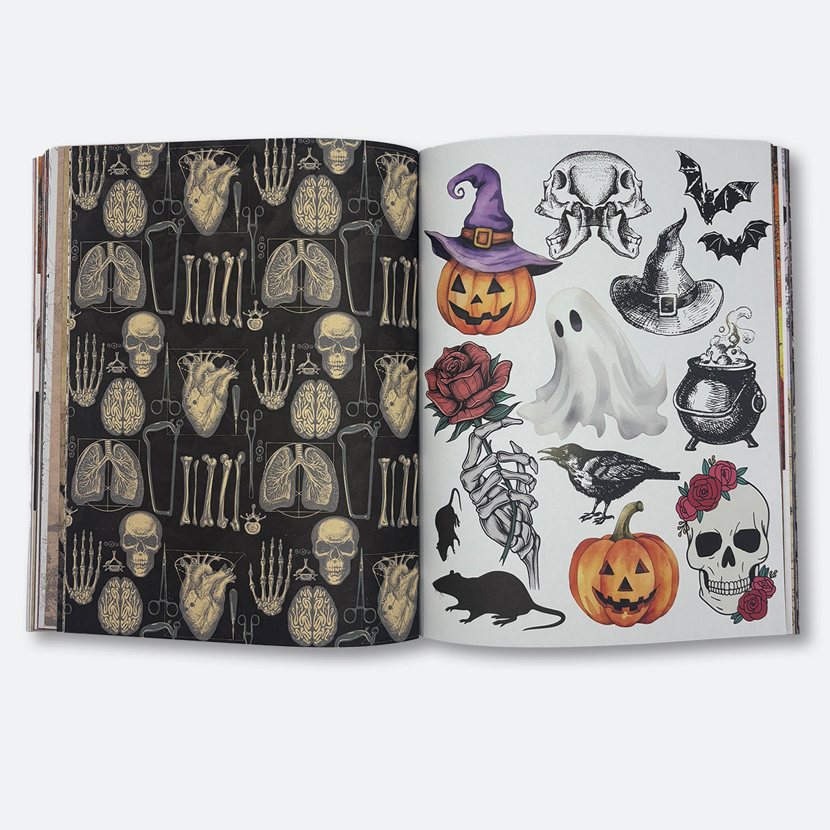 PAPER PAPER PAPER: THE WITCH CRAFT COLLECTION
