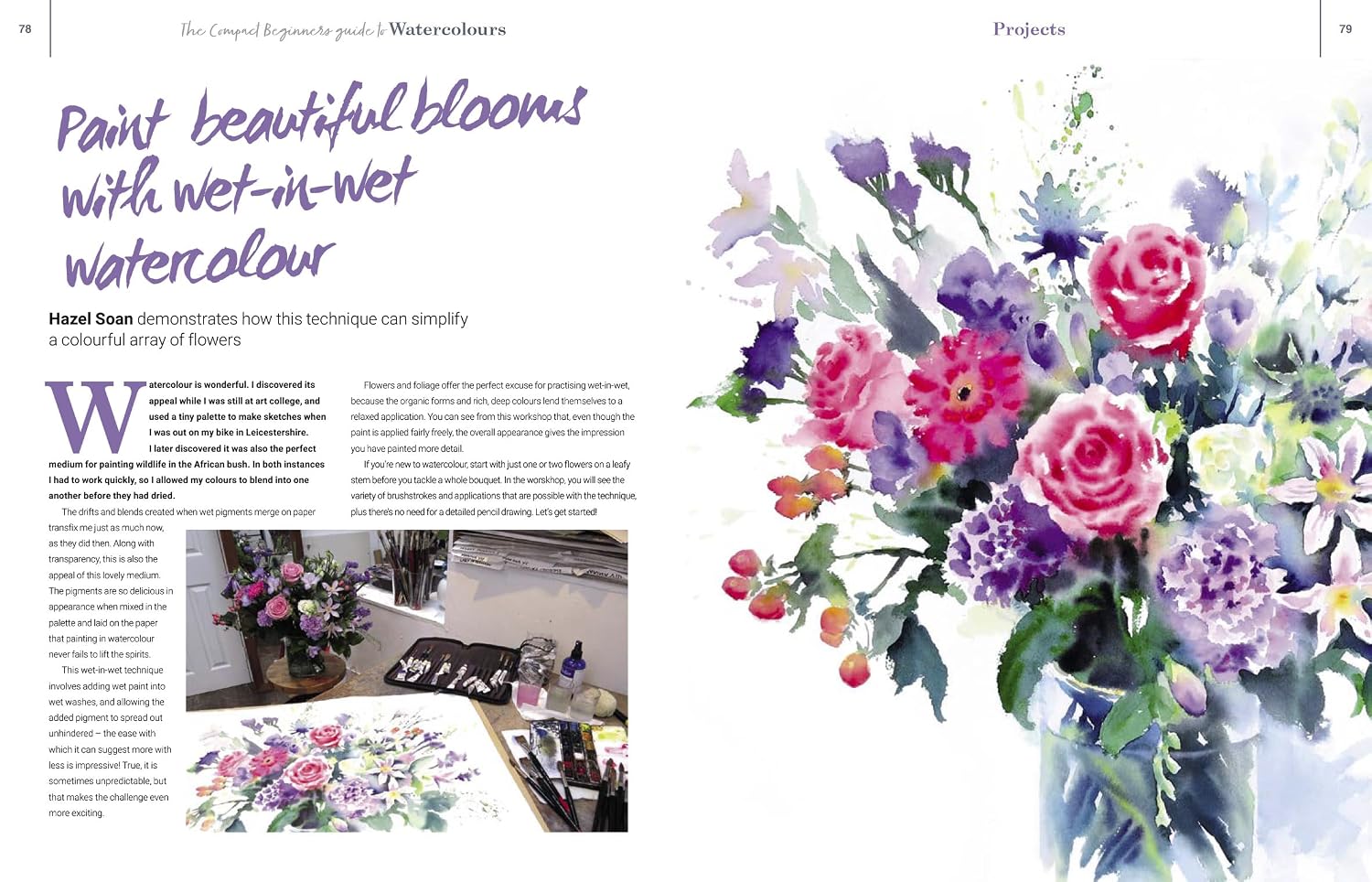 THE COMPACT BEGINNER'S GUIDE TO WATERCOLOURS