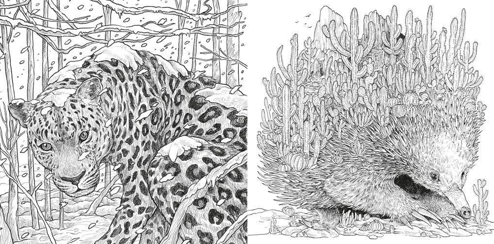 Product image for B9781915751089