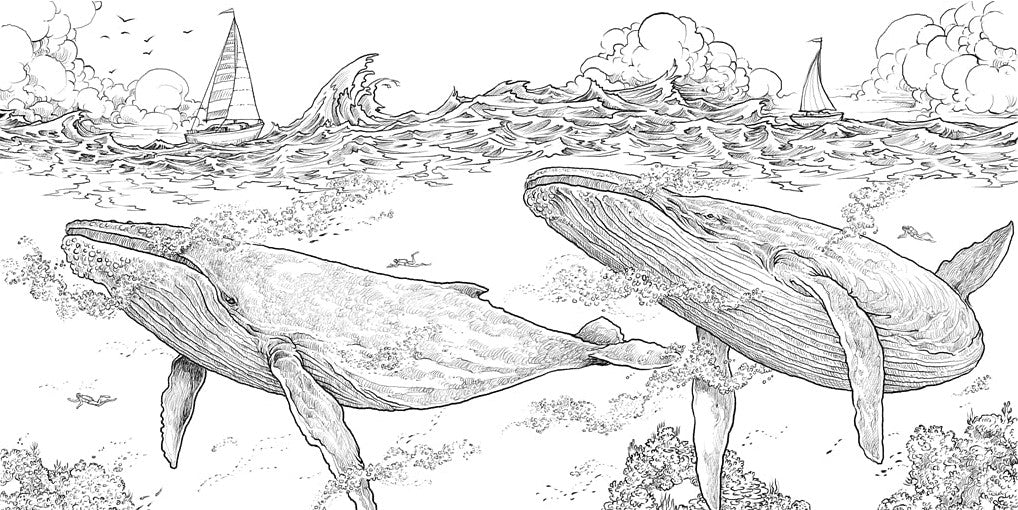 Product image for B9781915751089