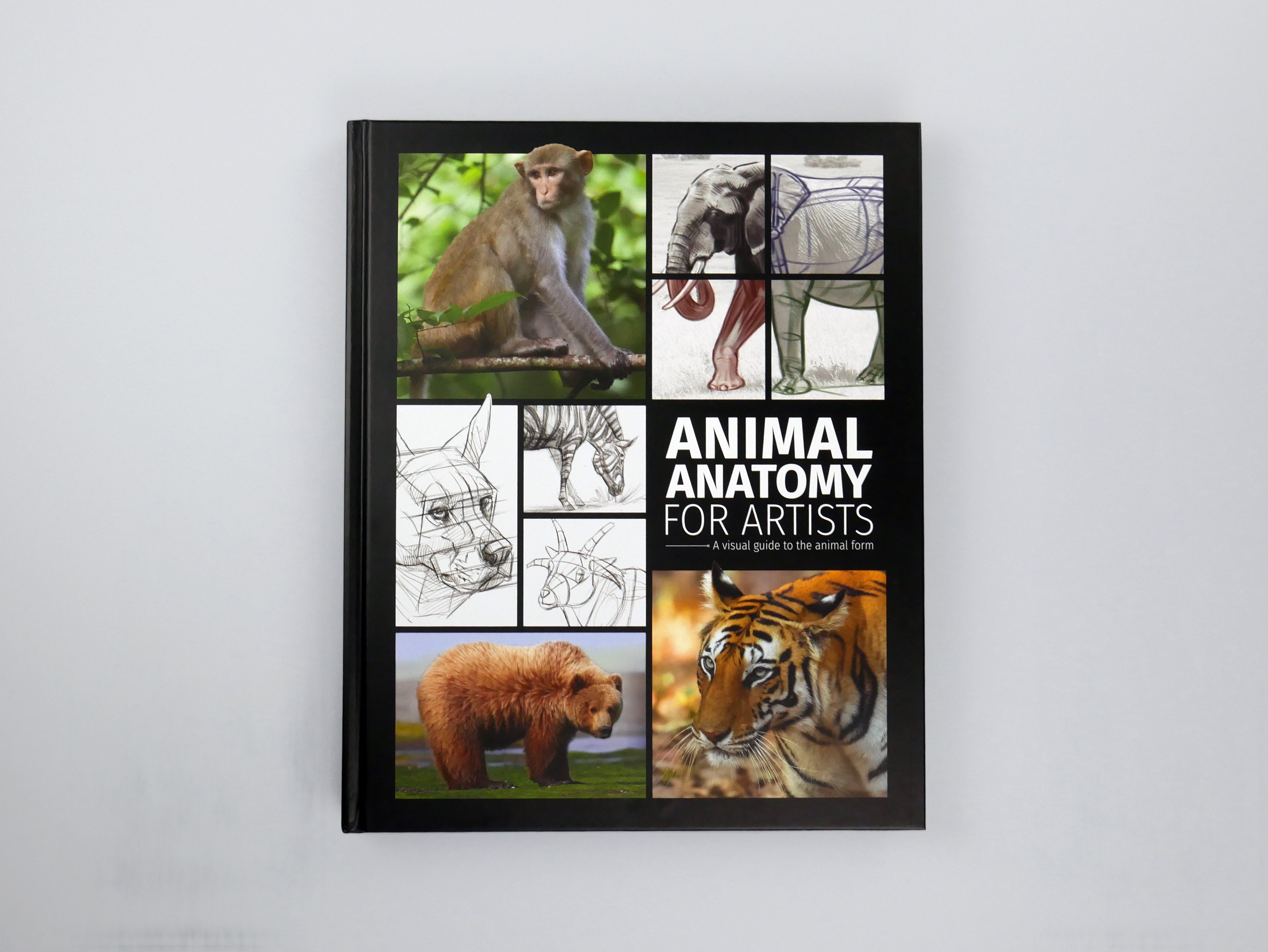 ANIMAL ANATOMY FOR ARTISTS