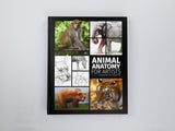 ANIMAL ANATOMY FOR ARTISTS