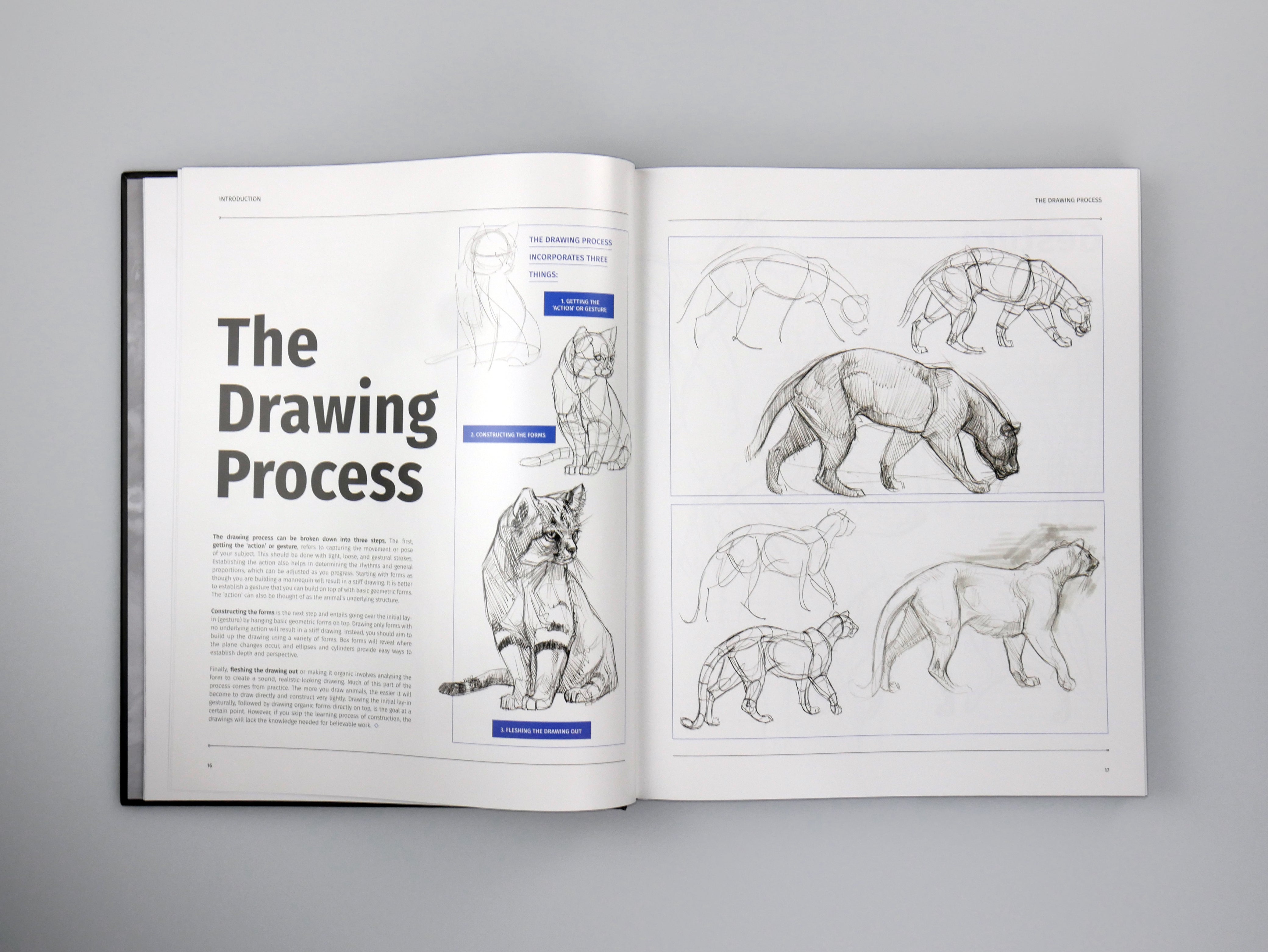 ANIMAL ANATOMY FOR ARTISTS