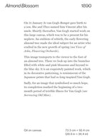 VINCENT VAN GOGH 50 MASTERRPIECES EXPLORED