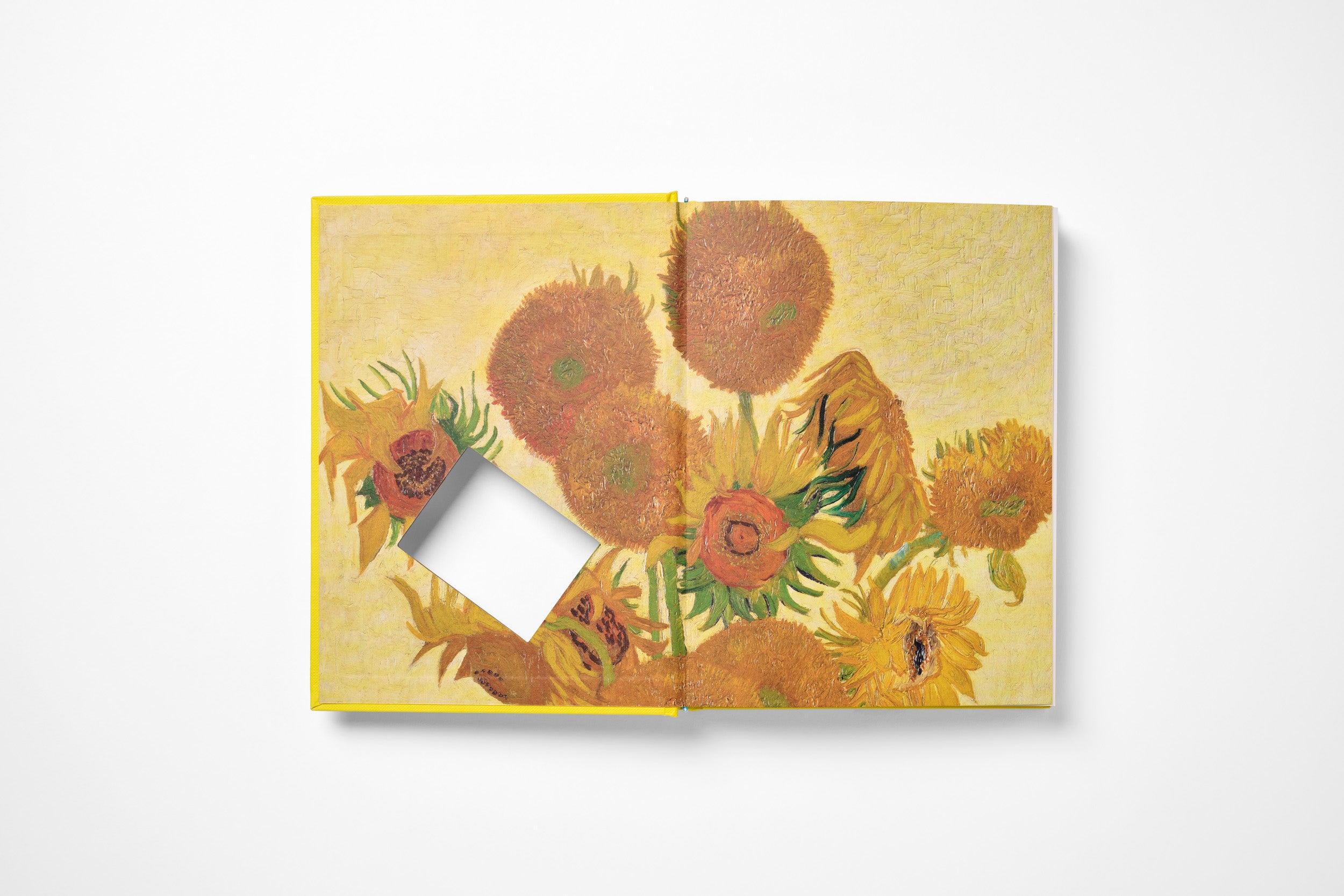 THE WORKS: VINCENT VAN GOGH