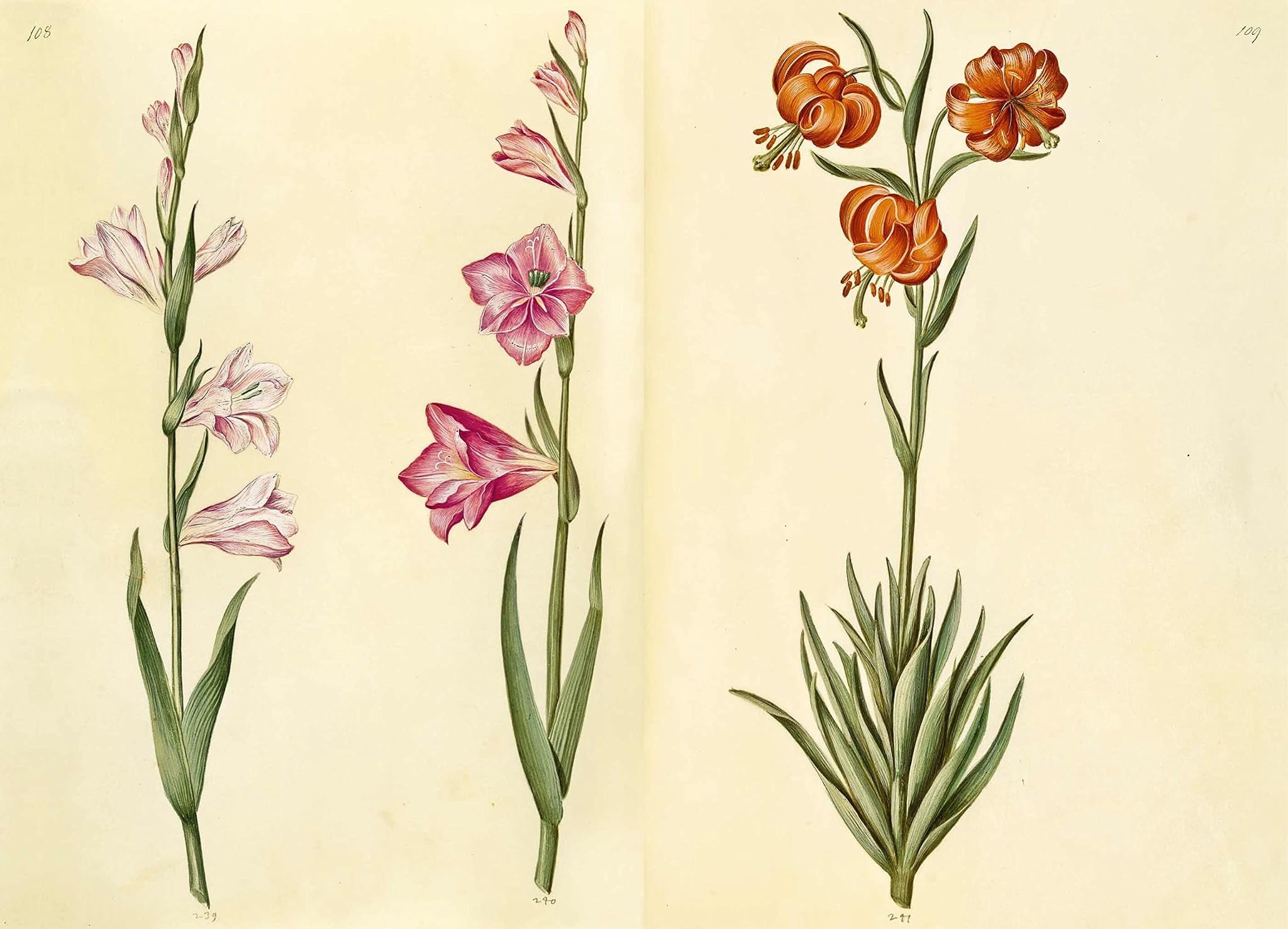 THE GREEN FLORILEGIUM