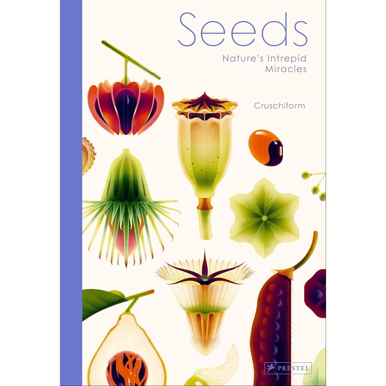 SEEDS NATURES INTREPID MIRACLES