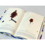 SEEDS NATURES INTREPID MIRACLES