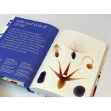 SEEDS NATURES INTREPID MIRACLES