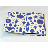 SEEDS NATURES INTREPID MIRACLES