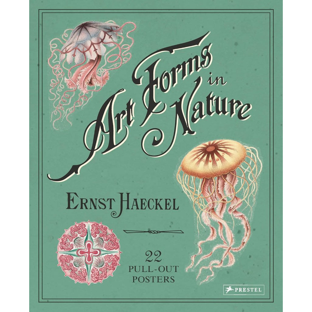 ERNST HAECKEL ART FORMS NATURE PULL OUT POSTERS